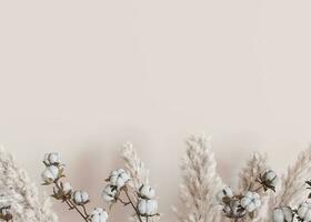 Beige background with dried plants and empty space for text. Bottom border with copy space. Realistic pampas grass and cotton plants. 3D rendering. photo