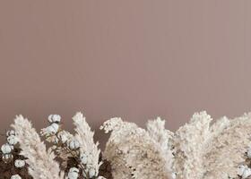 Brown background with dried plants and empty space for text. Bottom border with copy space. Realistic pampas grass and cotton plants. 3D rendering. photo