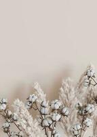 Beige vertical background with dried plants and empty space for text. Bottom border with copy space. Realistic pampas grass and cotton plants. 3D rendering. photo