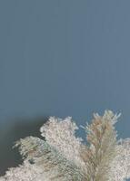 Vertical background with dried plants and empty space for text. Bottom border with copy space. Realistic pampas grass. 3D rendering. photo