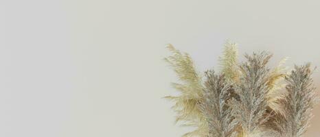 Beige background with dried plants and empty space for text. Banner with copy space. Realistic pampas grass. 3D rendering. photo