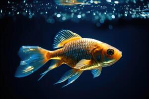 Beautiful golden fish in water. Ocean or sea inhabitant, marine life. Underwater creature. Generative AI. photo