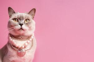 Cool cat with neckless on pink background. Fashionable appearance, be trendy. Copy space for text. Style and fashion. Stylish pet. Jewelry, accessories. Generative AI. photo