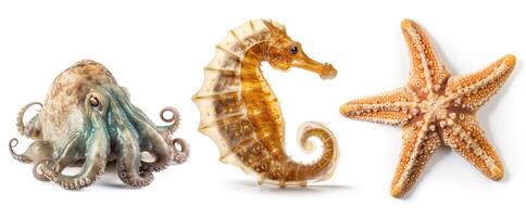 Set with sea animals, isolated on white background. Collection of ocean inhabitants. Marine life. Undersea creatures. Underwater wildlife. Octopus, seahorse and sea star. Generative AI. photo