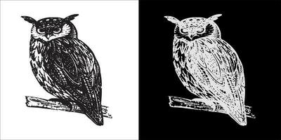 illustration vector graphic of owl, black and white color with transparent background