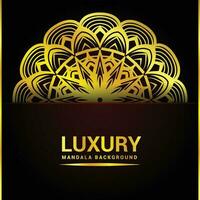 Luxury ornamental mandala design with golden colorful and vector fileb