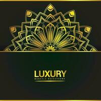 Luxury ornamental mandala background design with floral shapes vector