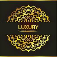 Luxury ornamental mandala background design with floral shapes vector