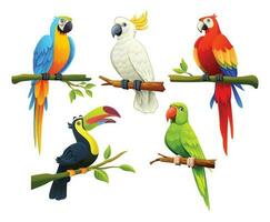 Set of tropical birds vector cartoon illustration