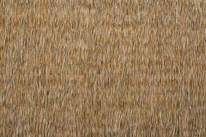 Close up dry straw texture wall background. photo