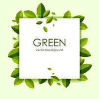 Green leaves frame on white background with copy space for text. Vector illustration.