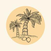 Palm tree with coconut on the island. Hand drawn vector illustration.
