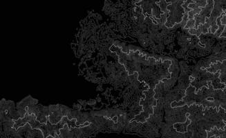 línea de topografía. montaña senderismo.oscuro topográfico mapa concepto con espacio para tu Copiar. 3d cartografía concepto antecedentes. mapa Bosquejo infografia.mundo mapa modelo. valores vector ilustración