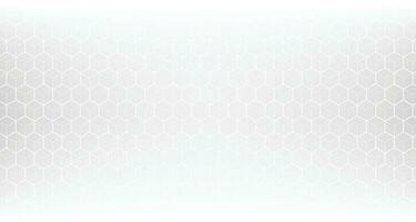 Abstract modern hexagon background. White and grey honey pattern geometric texture. Vector art illustration