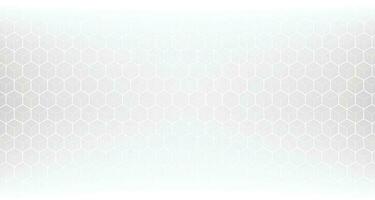 Abstract modern hexagon background. White and grey honey pattern geometric texture. Vector art illustration