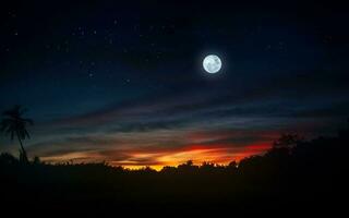 Beautiful night over tropical forest with moon and stars photo
