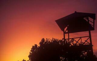 Silhouette of old tower and tree at sunset photo