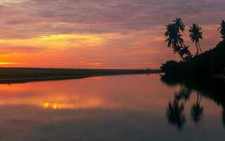 Calm river view with tree silhouette photo