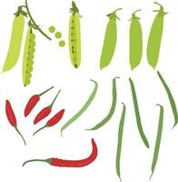 Peas Sugar Snaps beans Peppers vector