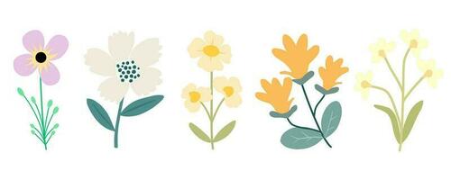 Set Flowers vector. Colorful trendy illustration. Perfect for posters, social posts, stickers. vector