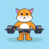 Cute shiba inu lifting weights cartoon vector