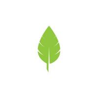 logotipos de vector de elemento de naturaleza de ecología de hoja de árbol verde