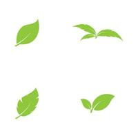 logotipos de vector de elemento de naturaleza de ecología de hoja de árbol verde