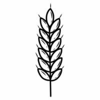 Ear of wheat. Vector illustration in doodle style.