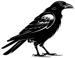 Raven Black and White vector