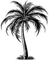 palma árbol negro y blanco vector