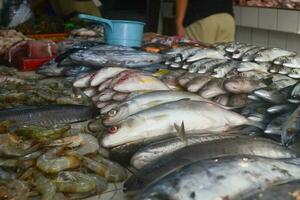 Fresh fish at the traditional market. Indonesian men sort fish at the fish market held at the largest traditional market in Bandung photo