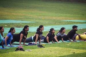 New Delhi, India, May 31 2023 - Group Yoga exercise class Surya Namaskar for people of different age in Lodhi Garden, International Yoga Day, Big group of adults attending a yoga class in park photo