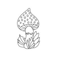 Hand drawn mushroom in grass, doodle cute fly agaric in cartoon style. Isolated on white background. vector