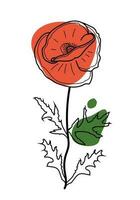 Vector image of a poppy flower in the style of doodles with color spots. Illustration of a flowering plant with leaves.