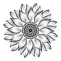 Sunflower Outline, Sunflower Line Art, Floral Line Drawing, black and white sunflowers vector illustration