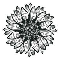 Sunflower Outline, Sunflower Line Art, Floral Line Drawing, black and white sunflowers vector illustration