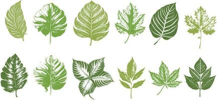 Set green leaves Collection vector for design background