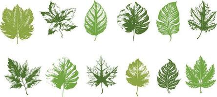 Set green leaves Collection vector for design background