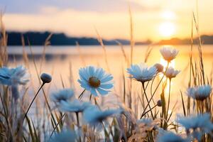 A beautiful winter landscape with a floral in the calm lake photo