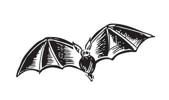 Flying bat, grunge illustration, vector. vector