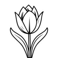 Contour illustration of a tulip. Black line drawing of a flower. Sublimation, print, logo, icon vector