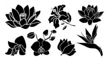 Tropical flowers big set. Silhouette simple icons of plant botanical patterns of buds and flowers vector