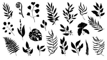 Forest herbs and tropical plants. Silhouettes. Big set of herbs for decorating invitations vector