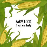 Banner square frame with corn on the cob and leaves. Organic products poster or ad with place for text vector