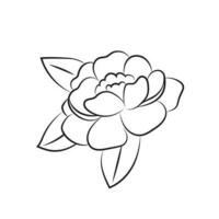 Peony flower drawn by lines. Isolated bud on a branch. Shabby chic cards and invitations vector