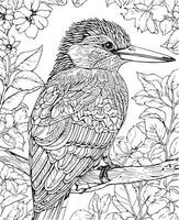 Hand drawn vector coloring page of kingfisher sitting on a branch. Coloring page for kids and adults. Print design, t-shirt design, tattoo design, mural art.