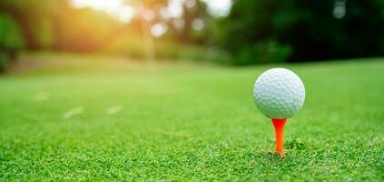 Close up golf ball on green grass field photo