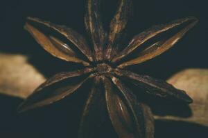 selective focus photography of wooden flower photo