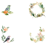 Watercolor Cute Bird with Flower Branch Elements set for Nest or Frame. png