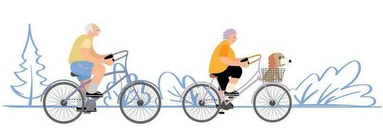 Seniors couple riding their bicycle. Active outdoor life style for elderly people. Grandfather and grandmother riding a bicycle. Summer activity. Vector illustration in cartoon style